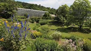 Tiergarten, tierpark, garten, orangerie, sehenswürdigkeit, botanische gärten. Botanischer Garten Tubingen Moritz Stadtmagazin Veranstaltungen Konzerte Partys Bilder