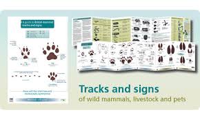 Fsc Mammals Tracks Signs Chart