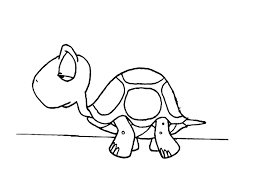 Malvorlage Schildkröte Ausmalbild 12162 Images