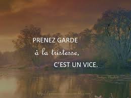 Prenez Garde A La Tristesse Poemes Et Citations Poeme Et Citation Citation Proverbes Et Citations