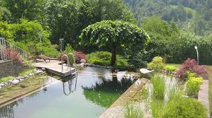 Schwimmteich Hang Garten Google Suche Schwimmteich Garten Am Hang Garten