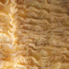 Image result for Whipworm