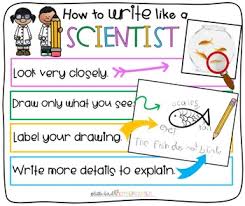How To Write Like A Scientist Anchor Chart For Little Learners