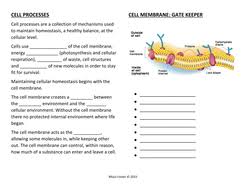 Cellular metabolism is the set of chemical reactions that occur in living organisms in order to maintain life. Cell Processes Worksheet Answers Nidecmege