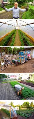 Are You Ready To Turn Your Lawn Into A Farm And Make Money At The Same Time The Creators Of Spin Farming Or Small Backyard Farming Urban Farming Urban Garden