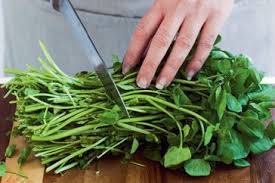 Over 4,181 watercress pictures to choose from, with no signup needed. How To Prepare Watercress