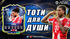 Image result for Team Profi-90