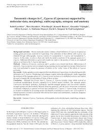 Image result for Cyperus colymbetes