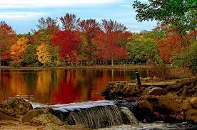 We usually start the loop at the starting point near the bathrooms (open year round) and head south toward. Desktop Hintergrundbilder New York City Usa Belmont Lake State Park