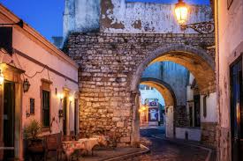 Image result for Faroa duvigneaud