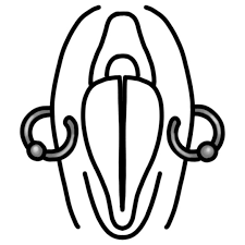 This tends to be an easy piercing to sit through, and an even easier piercing to heal. Vulva Piercing The Piercing Urge Female Genital Piercings