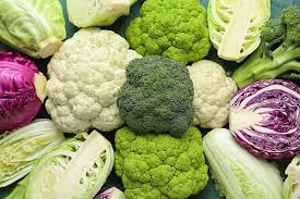 Image result for Brassica