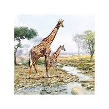 4 Serviettes En Papier Decoupage Collage 33 Cm Savane Girafe A 2007 Serviette En Papier Animaux Creavea Les animaux de la savane doivent aussi être capable de survivre à la chaleur car il ne fait jamais moins de 15°c et il fait souvent dans les 32°c. 4 serviettes en papier decoupage collage 33 cm savane girafe a 2007 serviette en papier animaux creavea