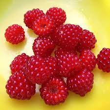 Pin Von Pam Bartlett Auf Rot Und Himbeeren Rot Gelb