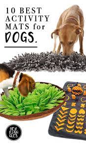 10 Best Boredom Busting Activity Mats For Dogs Dog Enrichment Dog Boredom Dog Toys Indestructable
