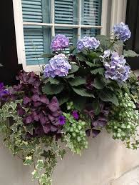 Beautiful Window Display Container Gardening Windowbox Containergardening Pflanzen Pflanzideen Garten