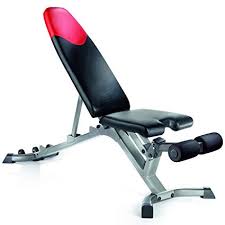 Nautilus Adjustable Weight Bench Reviewed Garage Gym Builder