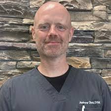 Meet Dr. Andrew Olson