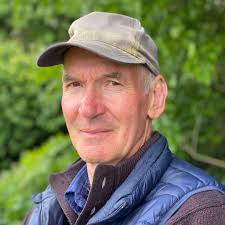 John Fallon (@johnfallongallery) • Instagram photos and videos