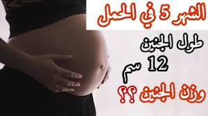 علامة واحده اكيدة للحمل بولد. Ø§Ø¹Ø±Ø§Ø¶ Ø§Ù„Ø´Ù‡Ø± Ø§Ù„Ø®Ø§Ù…Ø³ Ù…Ù† Ø§Ù„Ø­Ù…Ù„ ØªØ·ÙˆØ±Ø§Øª Ø§Ù„Ø§Ù… ÙˆØ§Ù„Ø¨ÙŠØ¨ÙŠ Ø§Ø³Ø¨ÙˆØ¹ Ø¨Ø§Ø³Ø¨ÙˆØ¹ Youtube