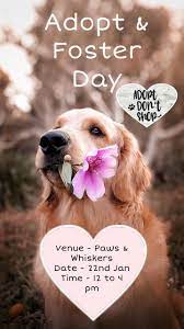 During this time of year, paws receives many young, motherless kittens. Adoption Day Visit Us Paws Whiskers Pets Nursery Facebook