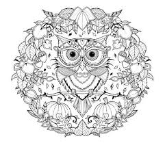Printable Colouring Pages Colour With Canon Owl Coloring Pages Johanna Basford Coloring Book Blank Coloring Pages