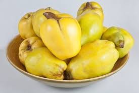 | die beste erntezeit die aus westasien stammende quitte (cydonia oblonga) ist eine frucht mit sehr langer tradition. Kuchenwissen Quitten Richtig Verarbeiten Omas Rezepte