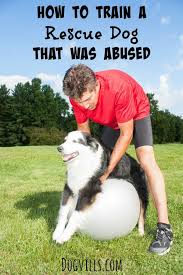 How To Train A Rescue Dog That Was Abused Dog Vills Dog Training Obedience Dog Training Dog Training Tips