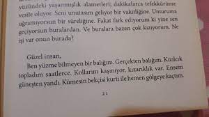 asude kilic adli kullanicinin alintilar panosundaki pin alintilar gercekler siir