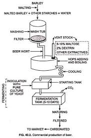 Alcoholic Beverages Undistilled And Distilled