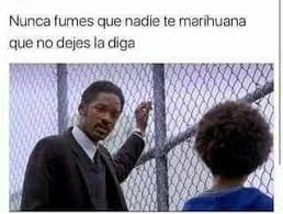 Below are the pages about memes to do with gaming. 21 Pachequisimos Memes Del 420 Para Pasarselos A Tu Amigo El Frito