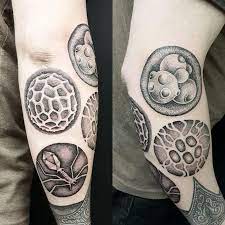 My New Dotty Microorganisms Drawing By Me Tattoo By Joesus Tattoo Art At Ninjaflower Wellington New Zealand Tattoos In 2021 Tattoos Art Tattoo Microorganisms