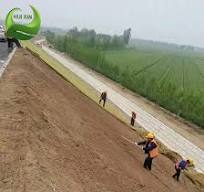 250g Coconut Fiber Erosion Control Blanket for Ecological Restoration of  Mining Greening and Slope Protection
