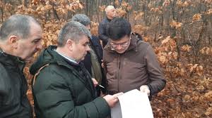 „trimit audit, ministerul finanțelor, curtea de conturi. Ministrul Mediului Oripilat De Jaful Din PÄƒdurea Topana Gazeta Oltului