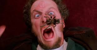 ああ！ケビン！「ホーム・アローン」のトリビア・カフートとブービートラップのデザイン！