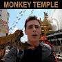 Monkey Temple India from www.facebook.com