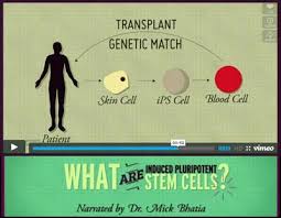Animation production usually begins after a story is conceived. 1 Minute Animation What Is A Cancer Stem Cell