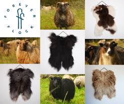 Check spelling or type a new query. Forever Flock Sheep Portraits Felted Sheepskin Rugs Handmade In Devon