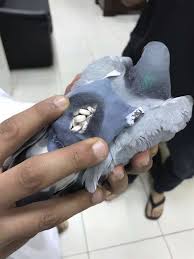 Image result for arte ecstasy