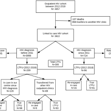 Flow Chart Of Patients In The Hiv Cohort Linked To Care And