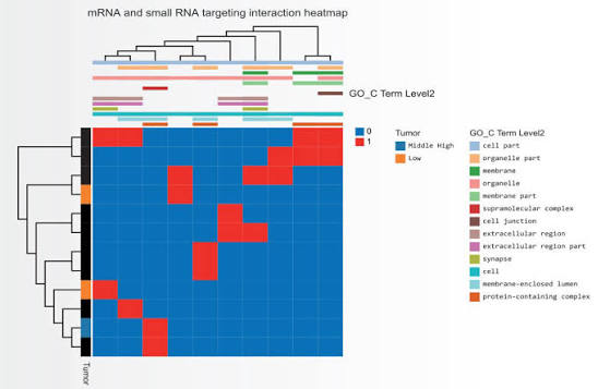 Dr.Tom Data Visualisation Solution - BGI Americas, Bioinfomatics