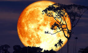 Don't Miss This Year's Stunning Buck Moon: Your Guide to July 2025's Lunar Spectacle