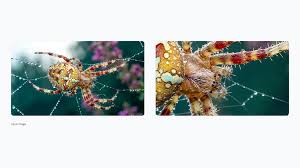 0.09接入Nano Banana Pro 4k画质API！挑战全网最低价，出海开发必 ...