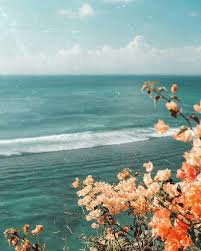Insta Pinterest Kenziemxller Nature Aesthetic Nature Photography Aesthetic Pictures