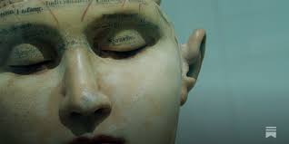 Maths, Metaphysics and the Mind