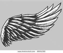 Here our eagle will not just sit on a branch our sketch is ready; Eagle Wings Drawing Imgbucket Com Bucket List In Pictures Wings Drawing Wings Tattoo Eagle Wings