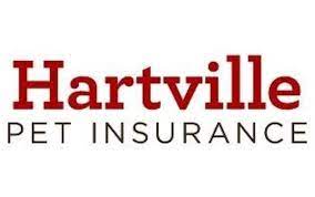 Banfield pet hospital is not a pet insurance company and does not offer any type of traditional pet insurance plan. Hartville Pet Insurance By Liberty Mutual In Chicago Il Alignable