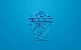 So gab es siege gegen den sv silz, tv klosterneuburg und tv hochwolkersdorf. Hd Tsv Hartberg Wallpapers Peakpx