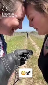 Brittany Micciche's Instagram, Twitter & Facebook