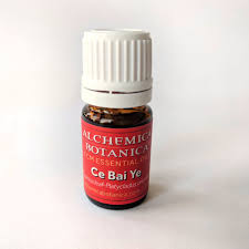 Image result for Sabicea orientalis